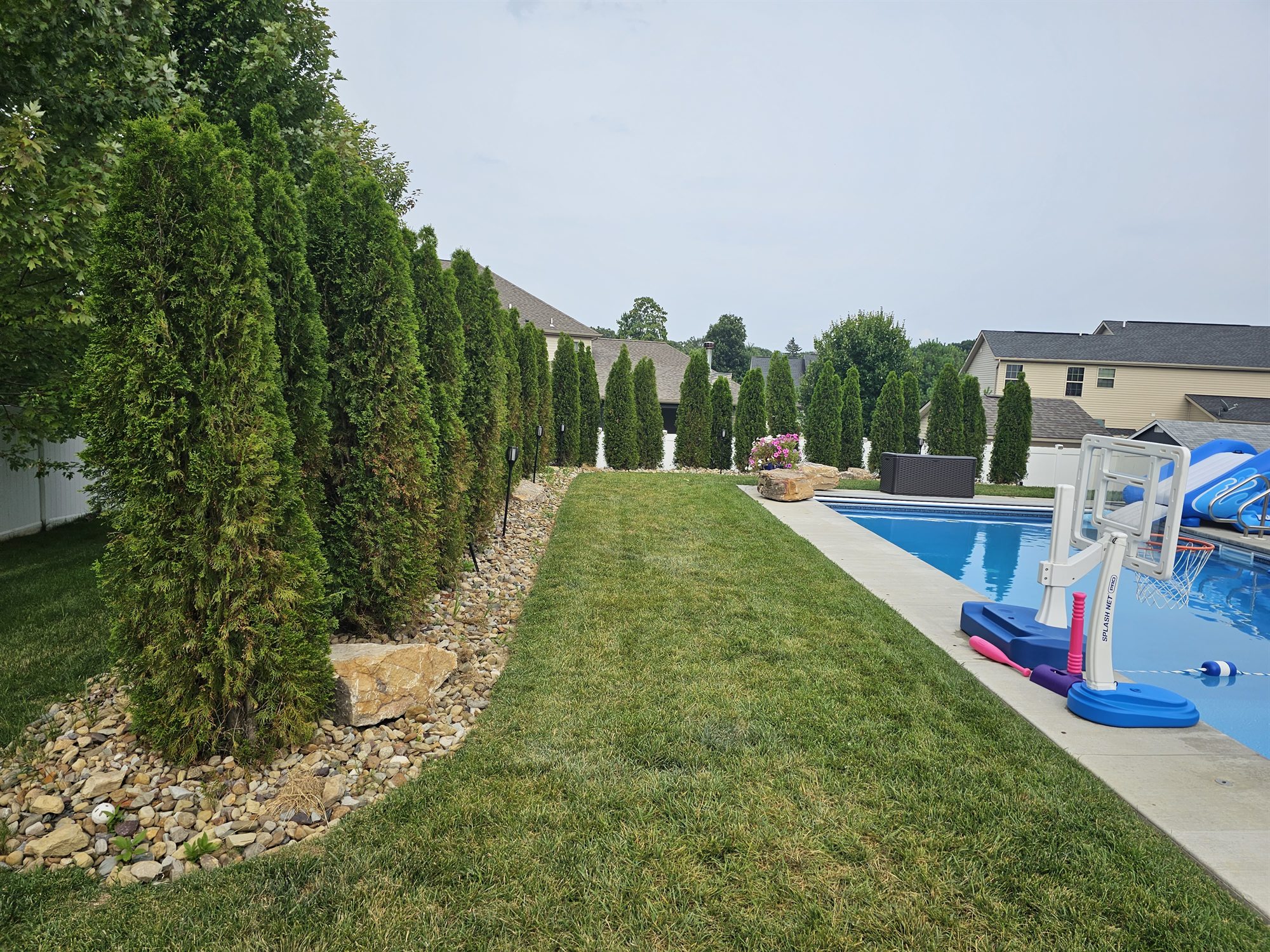 The Grove — backyard and inground pool, Beaver, Pennsylvania